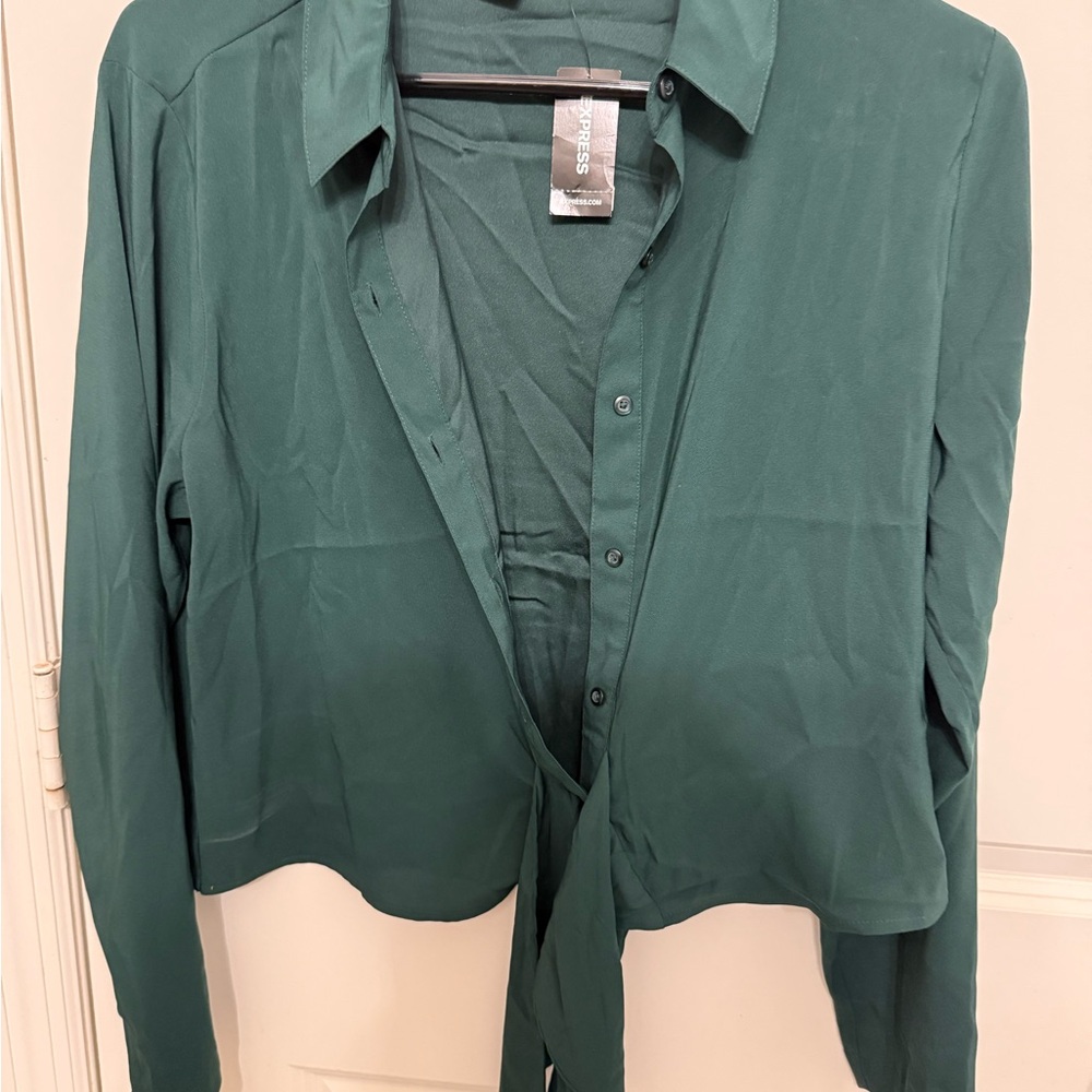 Express Deep Green Collared Shirt - Picture 3 of 4